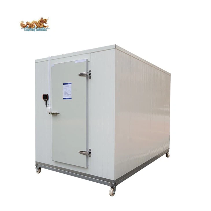 Container Cold Storage Room