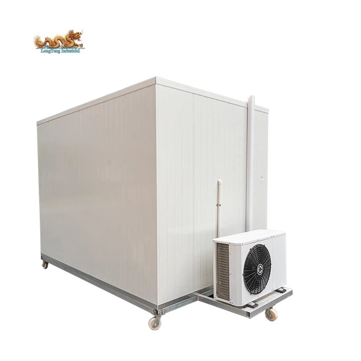 Container Cold Storage Room